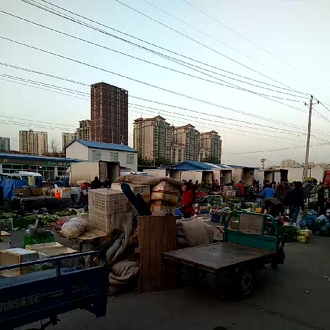 清晨的北京八里橋農(nóng)產(chǎn)品批發(fā)市場(chǎng) 都市食用品的源頭與脈搏
